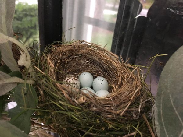 270 East Side Drive, Concord, NH 03301