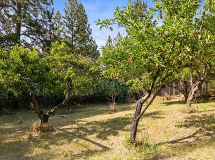 9340 Mosquito Rd, Placerville, CA 95667 Photo