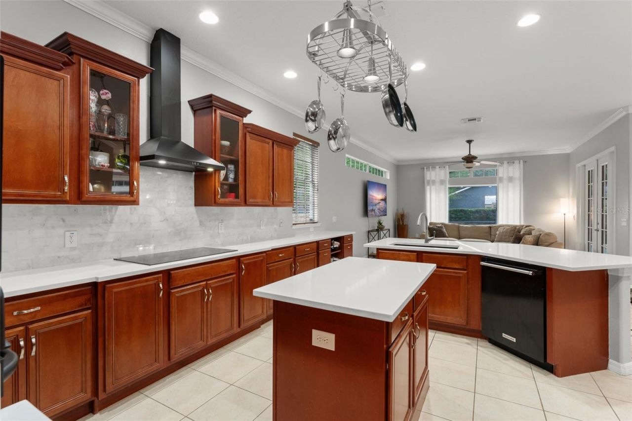14411 Hampshire Bay Circle , Winter Garden, FL 34787 Photo