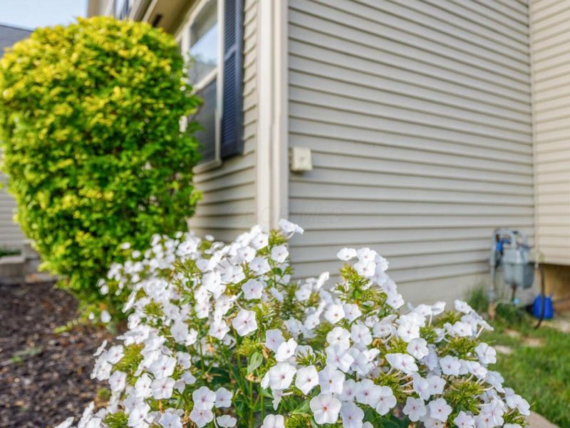 844 Windy Hill Lane, Galloway, OH 43119 Photo 4