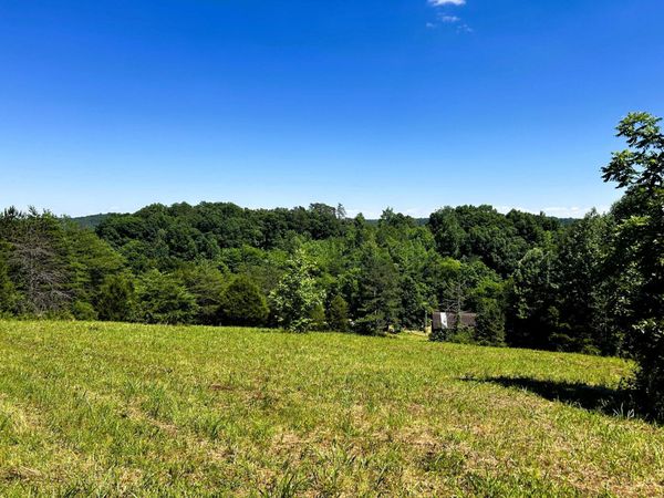 1060 County Road 130 , Riceville, TN 37370