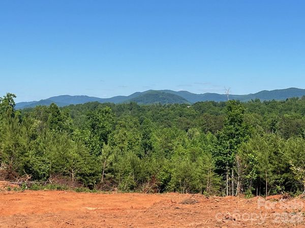 TBD Vein Mountain Road, Nebo, NC 28761