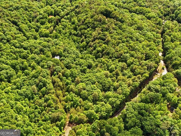 0 Hamik Hollow Road, Cleveland, GA 30528