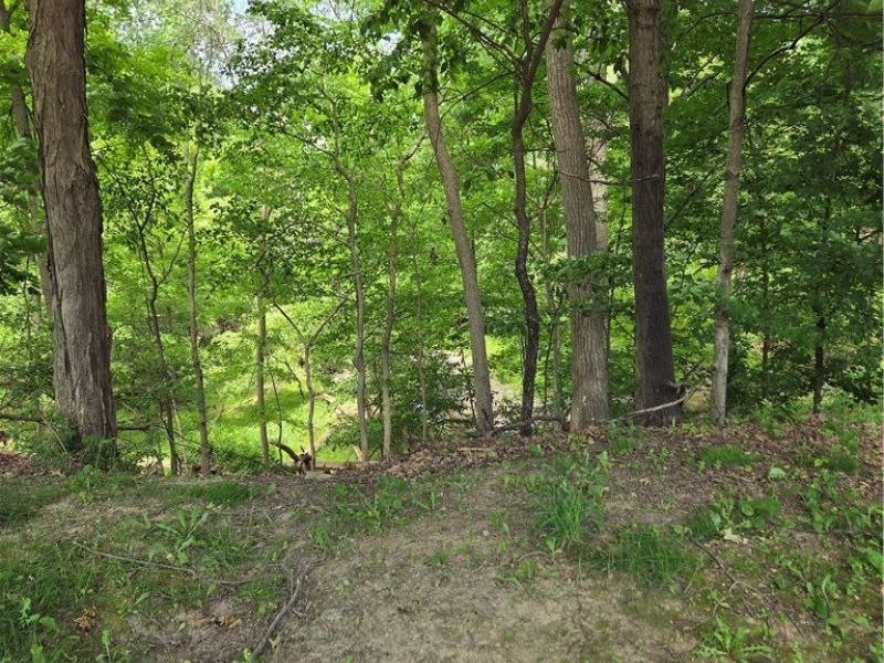1065 Rosealee Avenue, Elyria, OH 44035 Photo 4