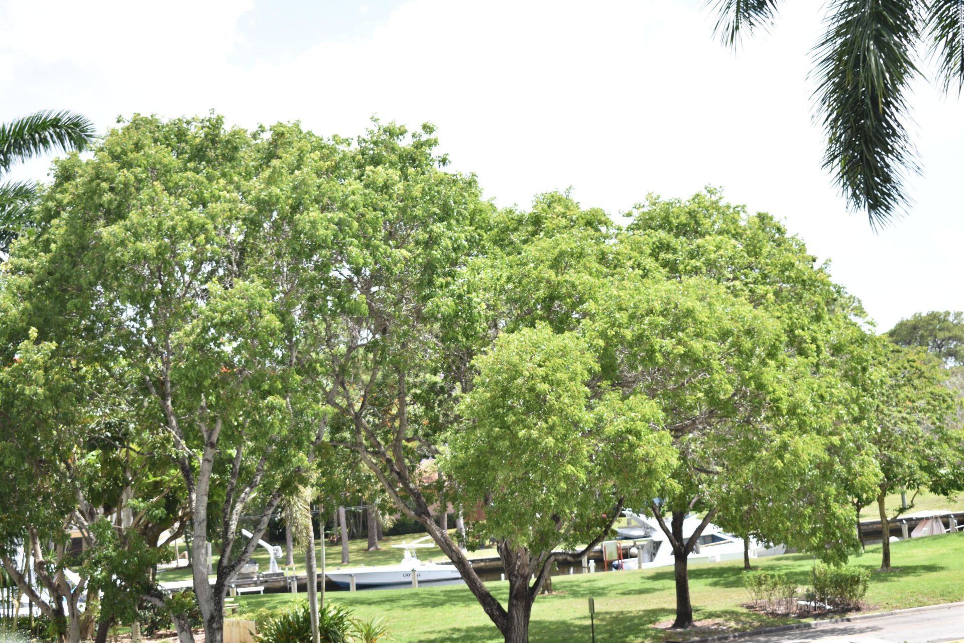 1101 River Reach Drive, Unit 212, Fort Lauderdale, FL 33315 Photo