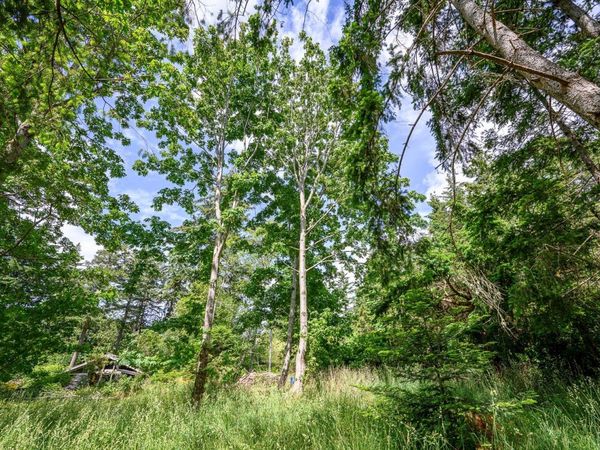 4920 Kirk Rd , Hornby Island, BC V0R 1Z0