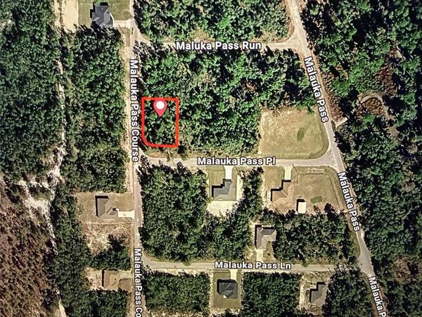 MALAUKA PASS CRSE , OCKLAWAHA, FL 32179