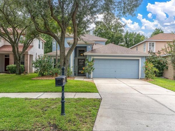 10232 WOODFORD BRIDGE STREET , TAMPA, FL 33626