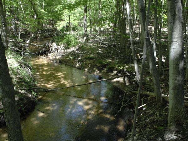 W Marshville Dam Road, Shelby, MI 49455