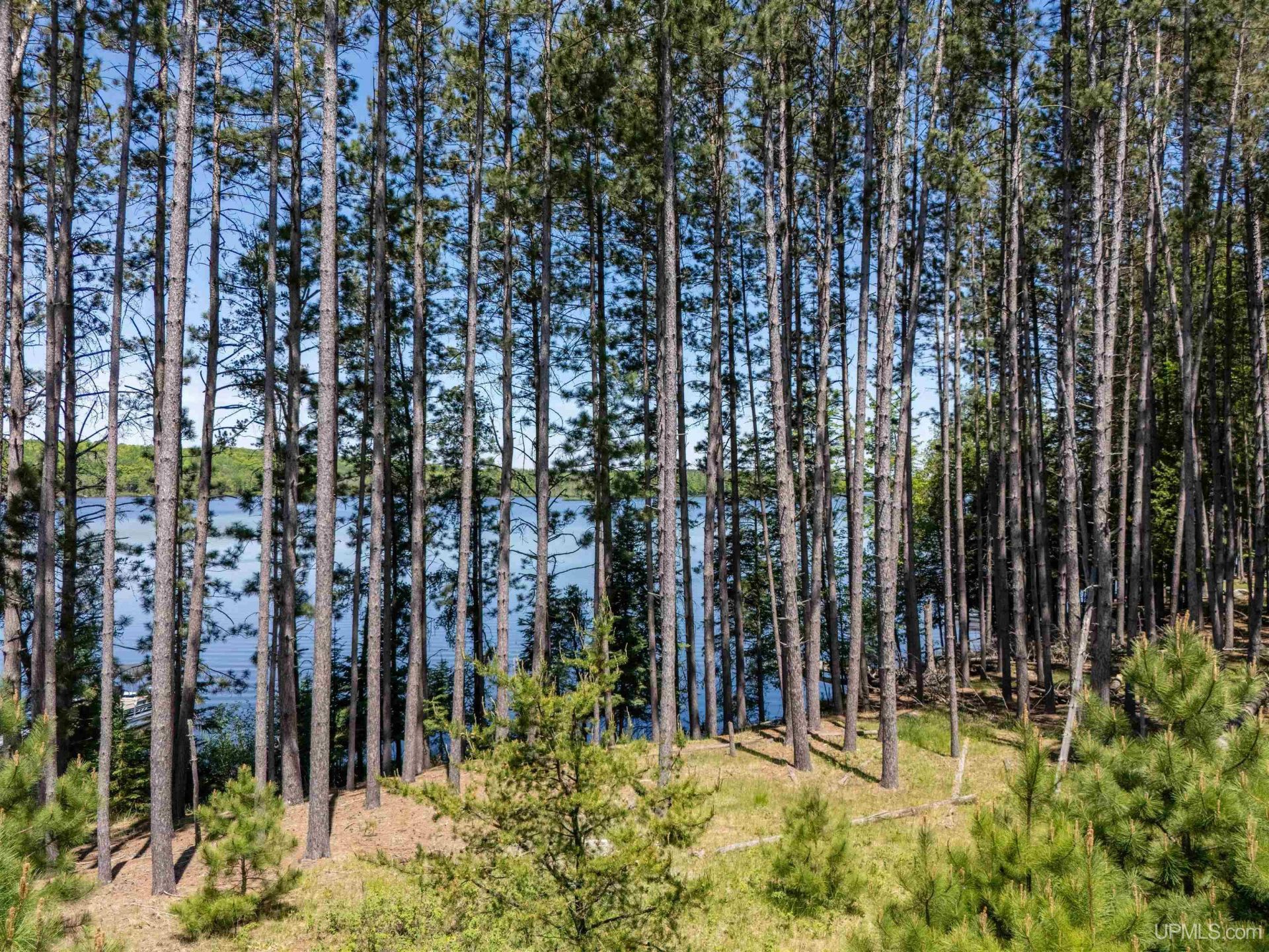 Tbd Eagles Nest Lane, Iron River Twp, MI 49935 Main Photo