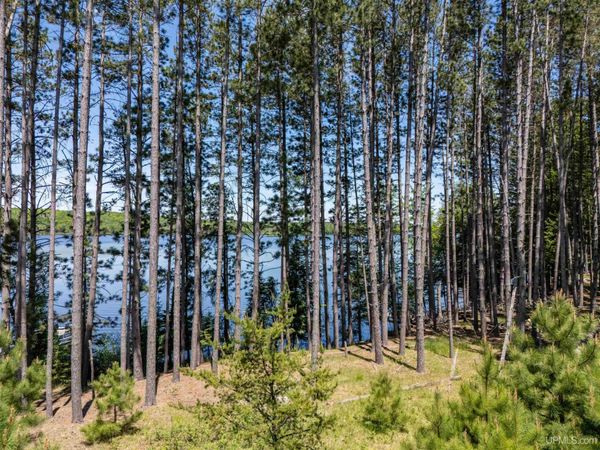 TBD Eagles Nest Lane, Iron River Twp, MI 49935