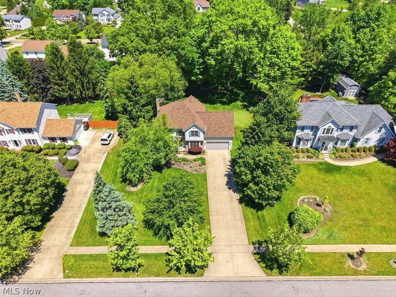 1287 Red Bush Lane , Macedonia, OH 44056 Photo 3
