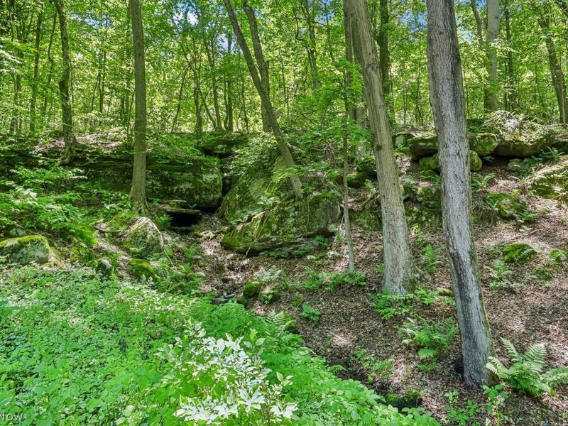8395 Lucerne Drive , Chagrin Falls, OH 44023 Photo 43