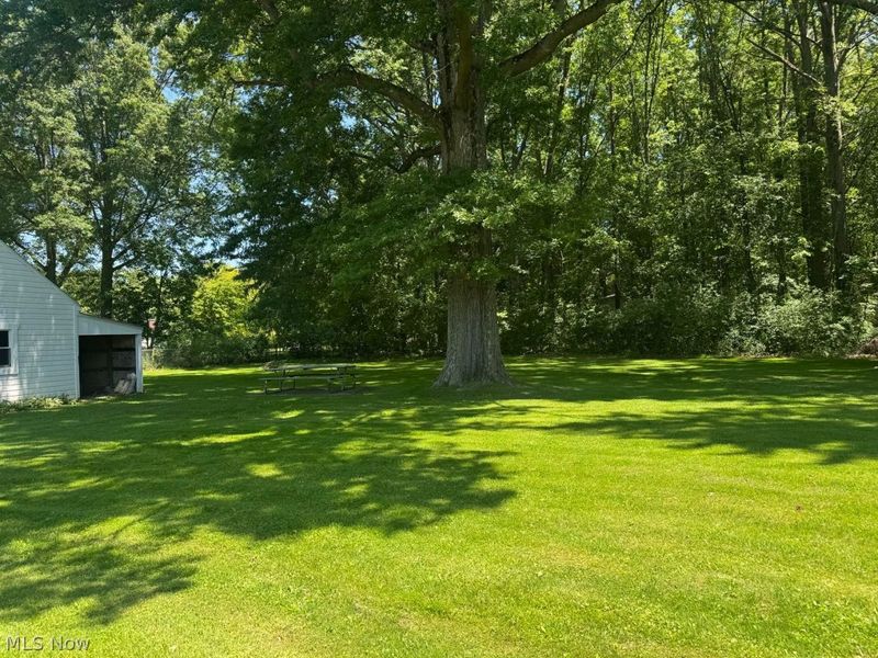 224 Oakwood Street , Elyria, OH 44035 Photo 23