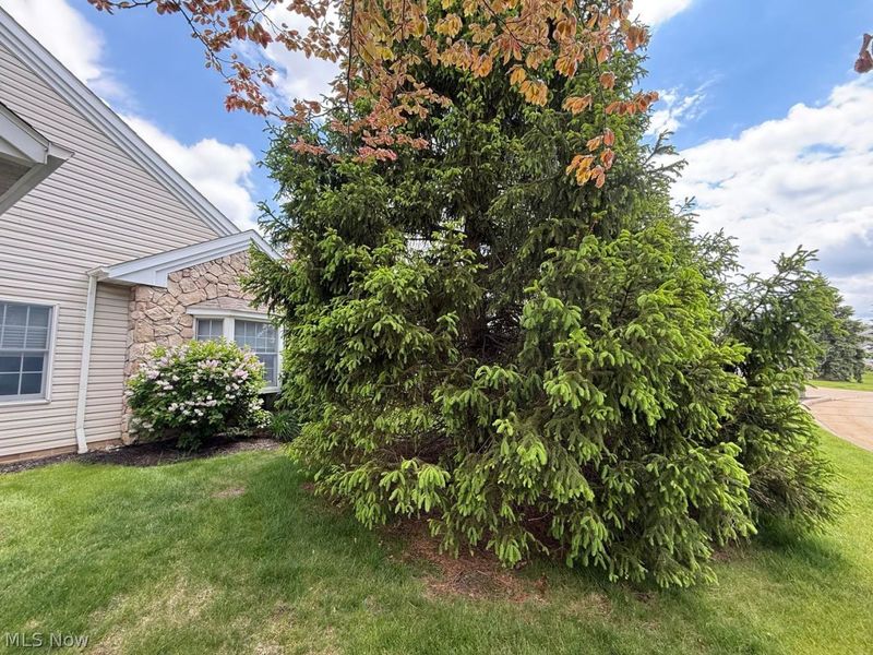 14235 Quail Ridge Drive , North Royalton, OH 44133 Photo 10