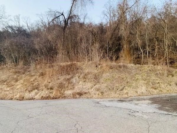 000 Virginia Ave, Midland, PA 15059