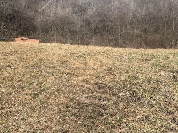 347 Penn Ave, Midland, PA 15059