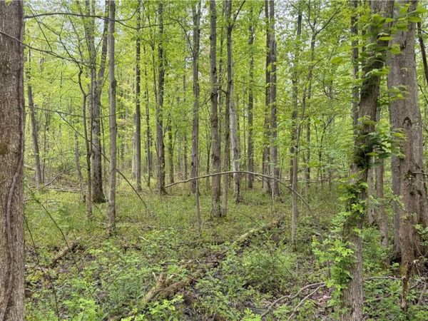 Munson Hill Road , Ashtabula, OH 44004