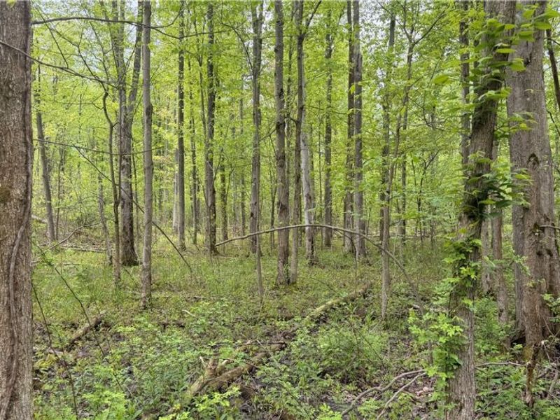 Munson Hill Road , Ashtabula, OH 44004 Photo 1