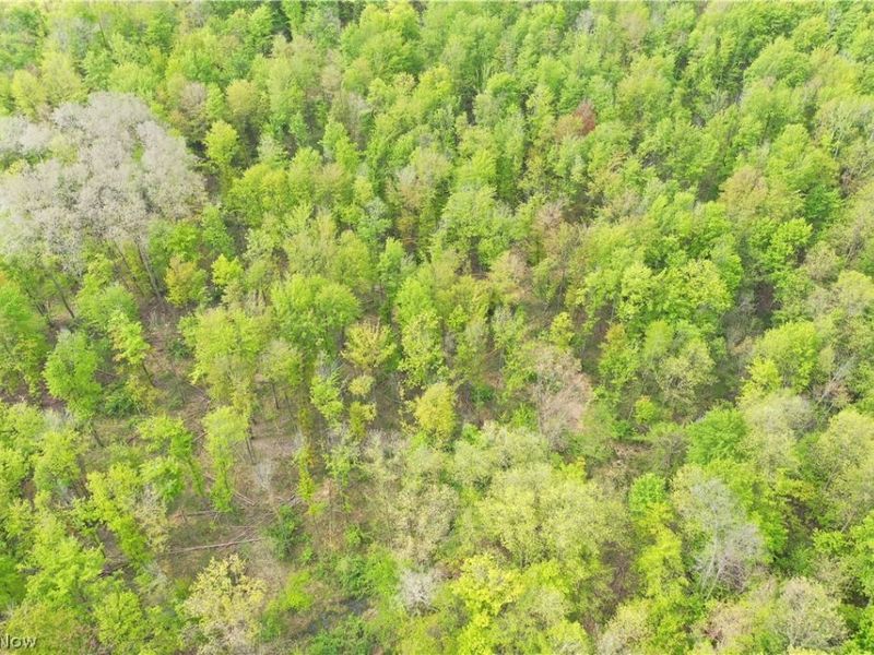 Munson Hill Road , Ashtabula, OH 44004 Photo 10