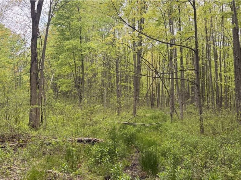 Munson Hill Road , Ashtabula, OH 44004 Photo 2