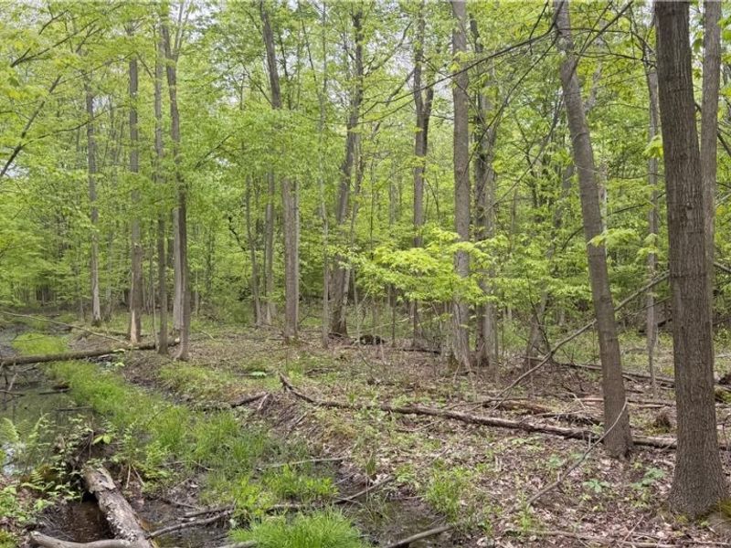 Munson Hill Road , Ashtabula, OH 44004 Photo 6