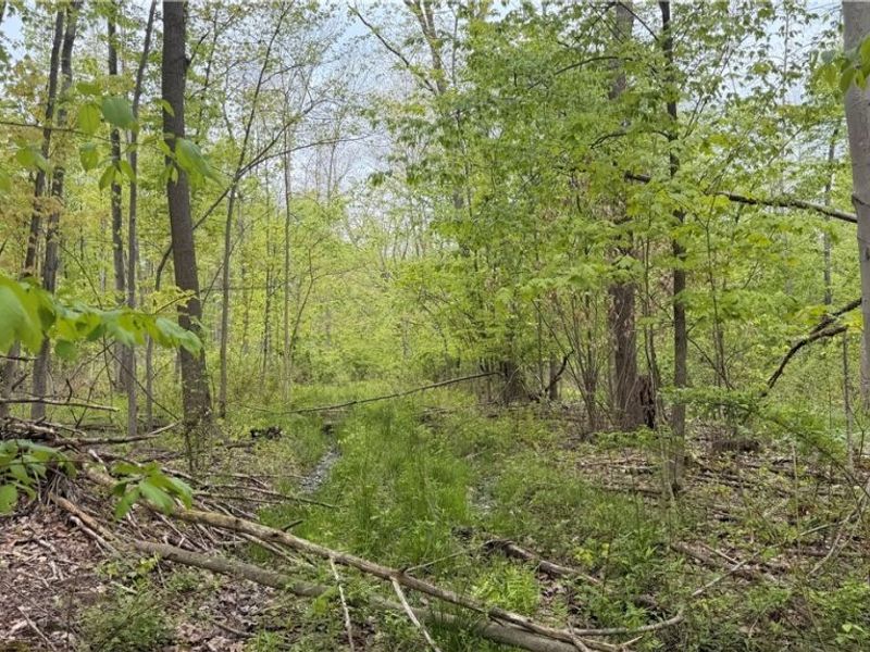 Munson Hill Road , Ashtabula, OH 44004 Photo 8