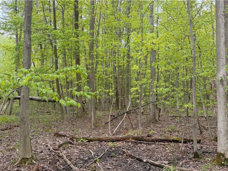 Munson Hill Road , Ashtabula, OH 44004 Photo 9