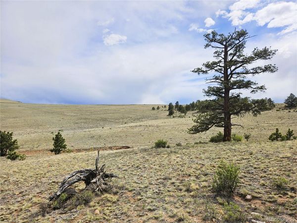 PCS#24131 Chato Road , Hartsel, CO 80449