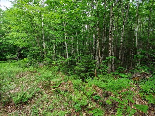 Lot 50 (Map 14) , Andover, ME 04216