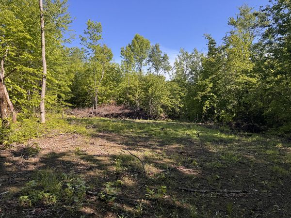 Lot 47 Beans Corner Road , New Sharon, ME 04955