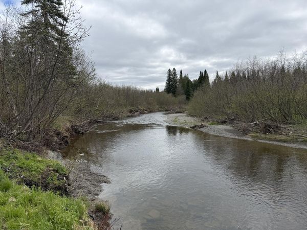 M5L15 Off Alexander Road , Van Buren, ME 04785