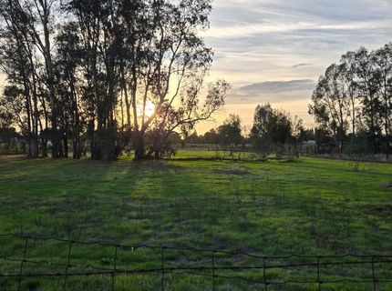 8830 Bradshaw Rd, Elk Grove, CA 95624 Photo