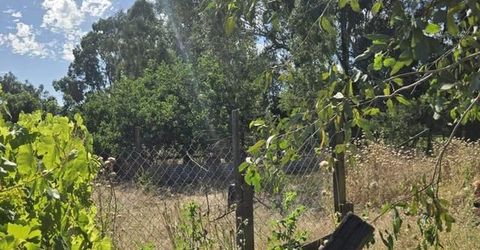 8830 Bradshaw Rd, Elk Grove, CA 95624 Photo