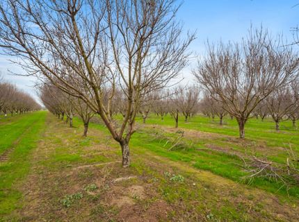 16221 Carrolton, Escalon, CA 95320 Photo