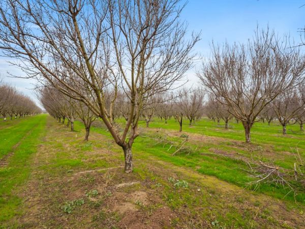 16221 Carrolton, Escalon, CA 95320