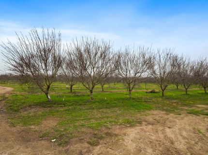 16221 Carrolton, Escalon, CA 95320 Photo