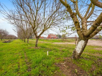 16221 Carrolton, Escalon, CA 95320 Photo