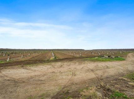 16221 Carrolton, Escalon, CA 95320 Photo