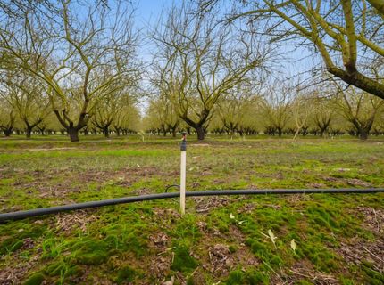 16221 Carrolton, Escalon, CA 95320 Photo