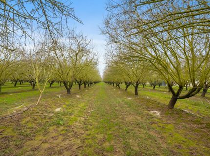 16221 Carrolton, Escalon, CA 95320 Photo