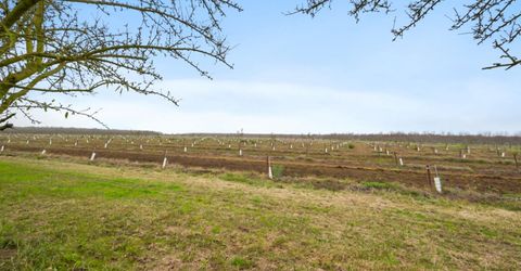 16221 Carrolton, Escalon, CA 95320 Photo