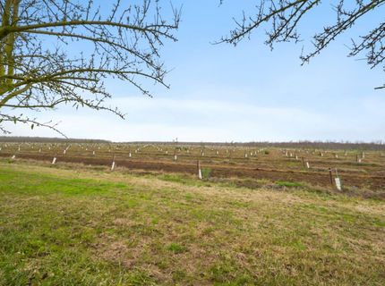 16221 Carrolton, Escalon, CA 95320 Photo