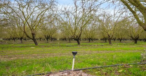 16221 Carrolton, Escalon, CA 95320 Photo