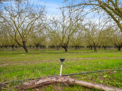 16221 Carrolton, Escalon, CA 95320 Photo