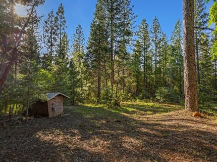 3353 Forbestown Rd, Oroville, CA 95966 Photo