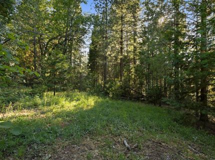 3353 Forbestown Rd, Oroville, CA 95966 Photo