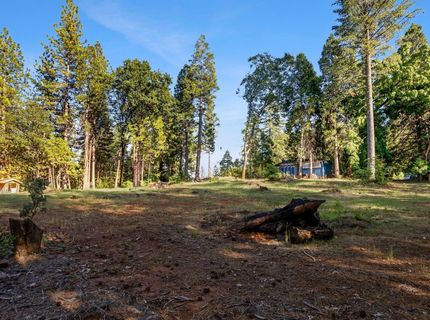 3353 Forbestown Rd, Oroville, CA 95966 Photo