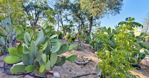 5263 Chile Camp Rd, Burson, CA 95225 Photo
