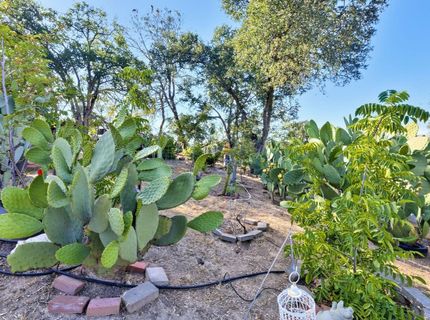 5263 Chile Camp Rd, Burson, CA 95225 Photo